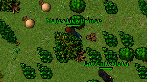Majestick Prince on screen