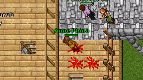 Anne Phina on screen