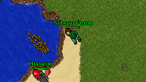 Nitscu Feom on screen