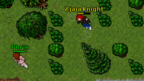 Zjaia Knight on screen