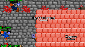 Deffs Druid on screen