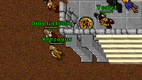 Verzavus on screen