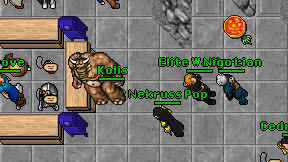 Elite Wariorr on screen