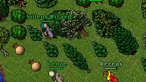 Sillens Wizard on screen