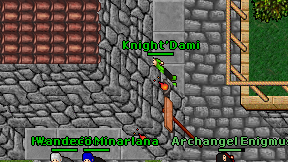 Knight'Dami on screen
