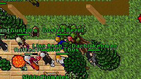 Gostek Bezel on screen