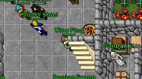 Wina Fing on screen