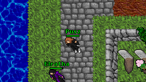 Pusz on screen