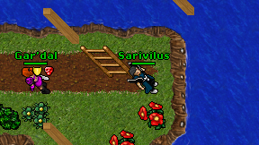 Sarivilus on screen
