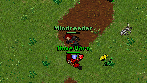 Mindreader on screen