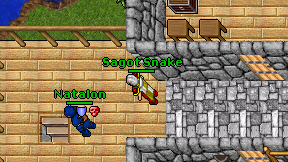 Sagot Snake on screen