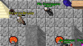 Desros Brady on screen