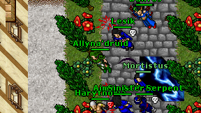Allyna'druid on screen