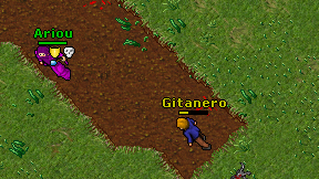 Gitanero on screen