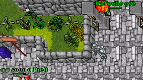 Rafaello gse on screen