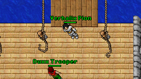 Verhalix Pion on screen