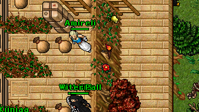Amireli on screen