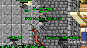 Protector Gandalf on screen