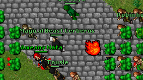Magical Beast Cerberus on screen