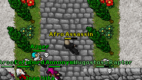 Afro Assassin on screen
