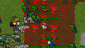 Lipton Druid on screen