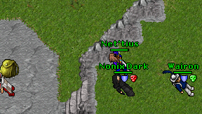 Net'tius on screen