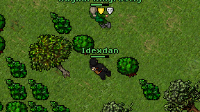 Idexdan on screen