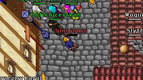 Ninnjutsu on screen