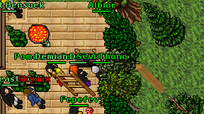 Albior on screen