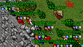 Fomrox Druid on screen
