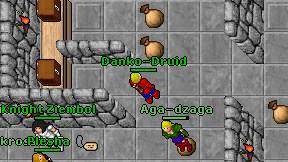 Danko-Druid on screen