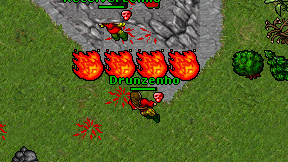 Drunzenho on screen
