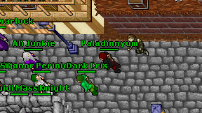 Paladinnyum on screen