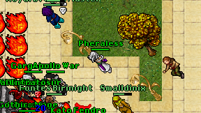 Pheraless on screen