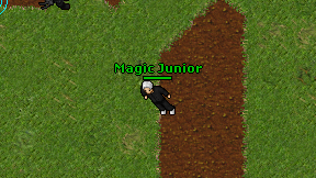 Magic Junior on screen