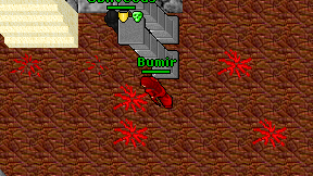 Bumir on screen