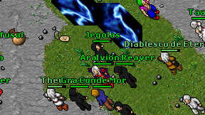 Araliellex on screen