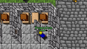 Pumafon on screen