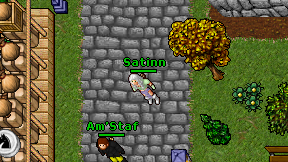Satinn on screen