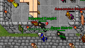 Icewind Knight on screen