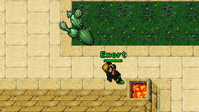 Exort on screen