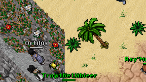 Octilus on screen
