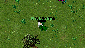 Black Nelson on screen