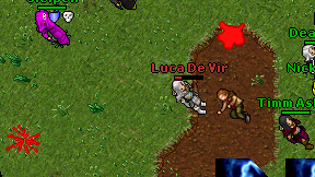 Luca De Vir on screen