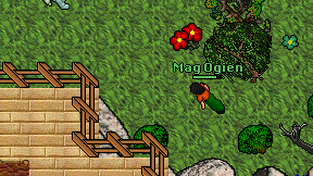 Mag Ogien on screen