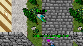 Samio on screen