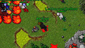 Ardigo on screen