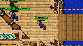 Bacona on screen