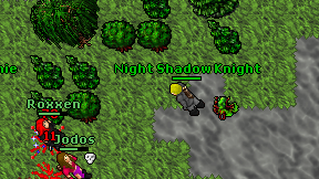 Night Shadow Knight on screen