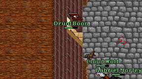 Druid Boon on screen